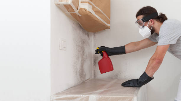 Professional Mold Inspection And Testing technician working in Mount Tabor, NJ